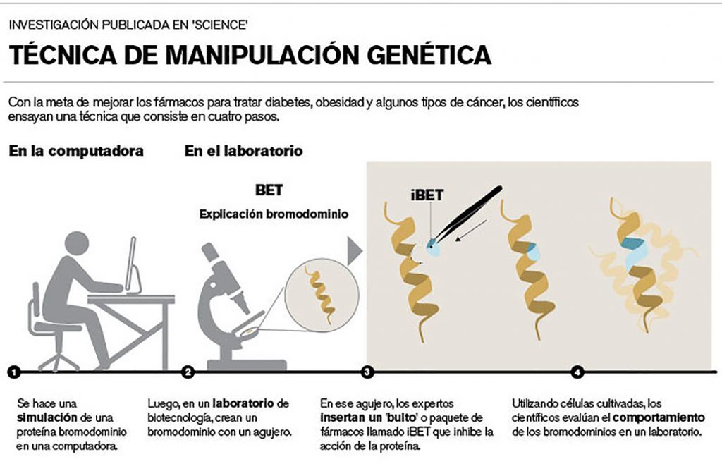 Las Tres Leyes De La Genética De Mendel Invdes