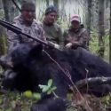 Imputado un cazador americano que mató con lanza a un oso negro en Canadá