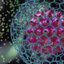 Científicos nipones logran producir células iPS de calidad a partir de SCU