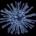 En determinados momentos del día, somos más susceptibles a las infecciones