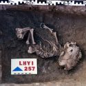 El rastro genético de los habitantes de la Edad de Bronce llega hasta hoy