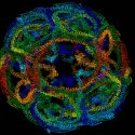 Chaperonas que actúan de nanomaquinas para desmontar otras proteínas