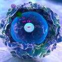 El MIT crea un método para prevenir enfermedades