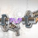 La nueva revolución genómica de CRISPR hace florecer las metáforas