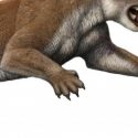 Los codos del extinto león marsupial le hicieron un cazador mortífero