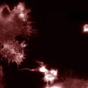 Investigadores descubren que las vesículas extracelulares de la leucemia circulan por la sangre