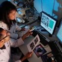 Colombia, creció en innovación pero sigue siendo un país de “media tabla”