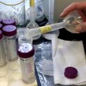 El laboratorio que investiga si lo que comes es realmente lo que tú piensas