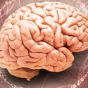 Un neurocientífico mexicano, nuevo director del Instituto Estadounidense del Envejecimiento
