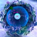 Programan células humanas para almacenar sus historias en su ADN