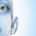 Identifican los genes que dan forma a la cara