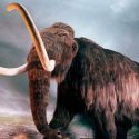 ¿Es una buena idea “resucitar” un mamut?