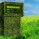 Los biocombustibles aumentan en realidad las emisiones de CO2