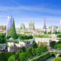 ¿Granja vertical, alternativa sostenible a la agricultura tradicional?
