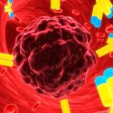 ¿Detección del cáncer por el sistema inmunitario antes de que el tumor se forme?