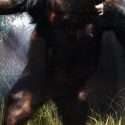 Lucy, nuestro primer ancestro, murió al caerse de un árbol