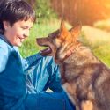 Los perros entienden qué les decimos y cómo se lo decimos