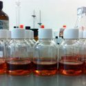 Estudiantes desarrollan biodiesel a partir de grasas y aceites residuales de la industria restaurantera