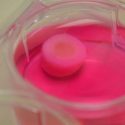 Cartílago generado por impresión 3D a partir de hebras de biotinta