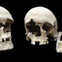 Estudian una plaga del Imperio Bizantino para entender la terrible peste bubónica