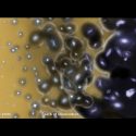 La primera generación de estrellas puede estar ya a la vista
