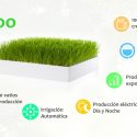 Innovador sistema para obtener energía de las plantas