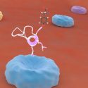 Hacia la próxima generación de péptidos lanzadera para llegar al cerebro