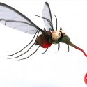 ¿Cuántos mosquitos harían falta para beberse toda tu sangre?