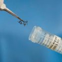 Investigadores identifican posibles tratamientos contra el zika