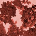 Nanopartículas de cobre, aliadas de la medicina