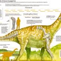 Sudamérica, cuna de los dinosaurios gigantes