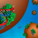 Innovadores tratamientos específicos para el cáncer de esófago