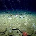 Expedición buscará los límites de la vida en el subsuelo marino
