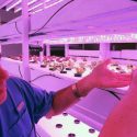 Panameño finalista de premio a la innovación en América