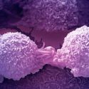 “Soltar el freno” y “mover el manubrio», el singular método de un chileno para trata de Cáncer