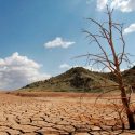 Agosto se suma a julio como los meses más calurosos de la historia
