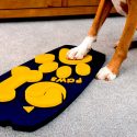 Una investigadora británica crea un control remoto canino