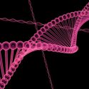 Investigadores de Singapur descubren un método mejor para modificar del ADN
