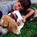 Los perros también necesitan que los niños les dejen respirar