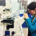 Exploran nuevas terapias para artritis reumatoide