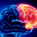 Un hallazgo genético explicaría el agravamiento de la epilepsia refractaria