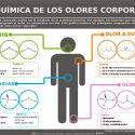 La química de los olores corporales