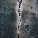 Crean bioconcreto que se regenera por sí solo