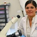 Devolver la vista mediante endotelio corneal artificial