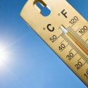 Aumento en las temperaturas puede causar nuevamente un extraño fenómeno meteorológico