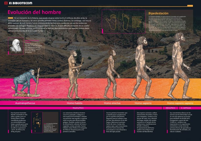 Ochagavía visual data 8