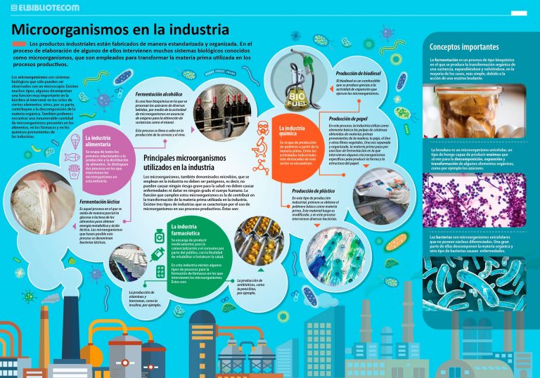 Microorganismos en la industria - INVDES