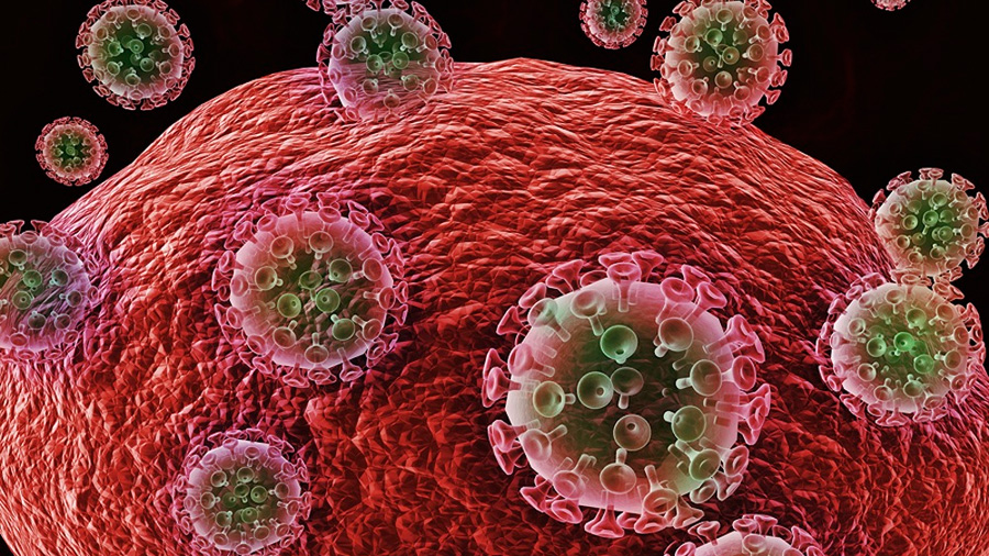 Científicos descubren una posible estrategia para "golpear y matar" el VIH que se esconde en las células