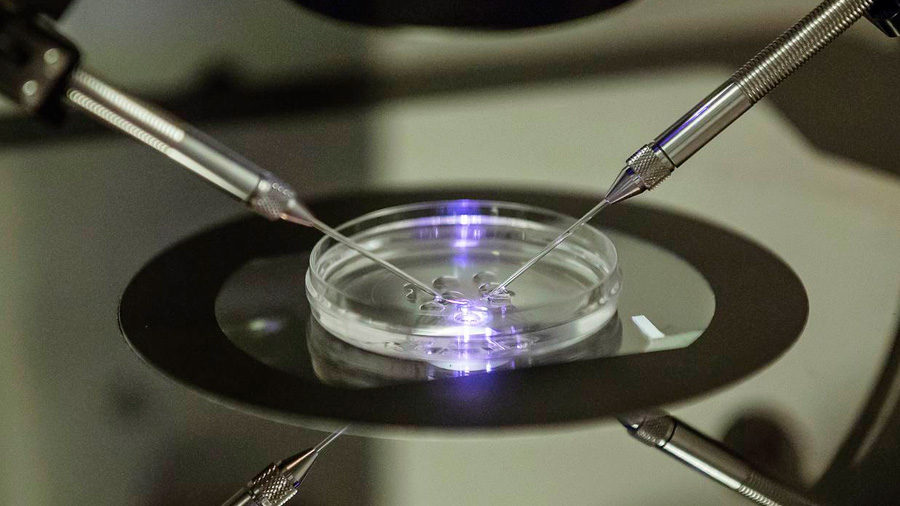 La posibilidad de reproducir humanos a partir de células cutáneas alarma a muchos expertos