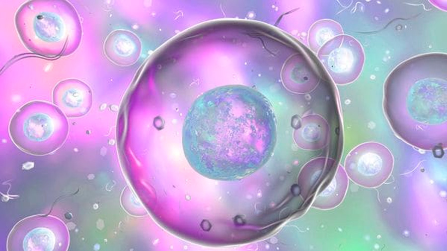 Identifican científicos molécula de ARN que protege las células madre de cáncer de mama